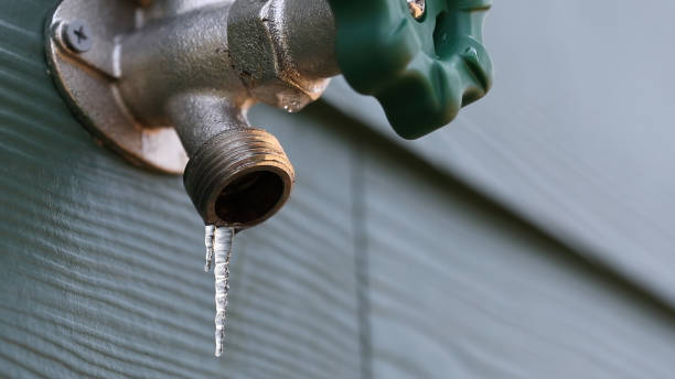 Best Leak Detection Services  in Brooklet, GA