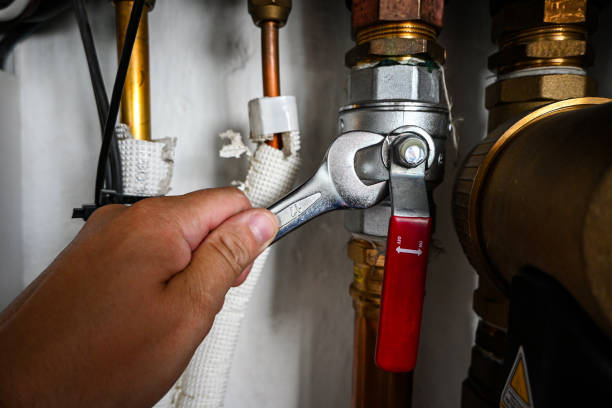Best Water Heater Repair  in Brooklet, GA